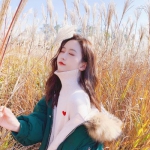 遵义房产网截图